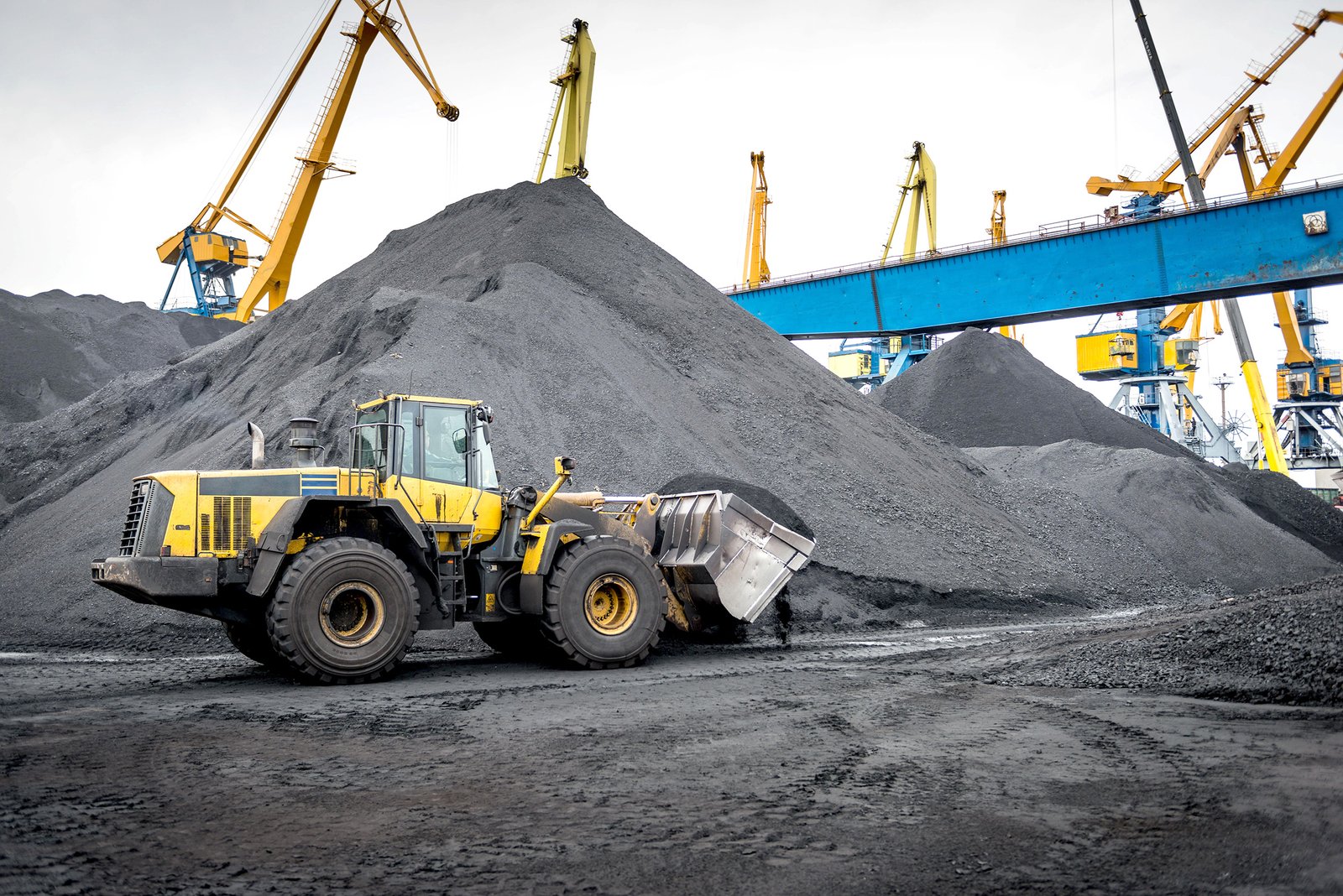 Penurunan Produksi Dinilai Tak Pengaruhi Harga Batu Bara Global